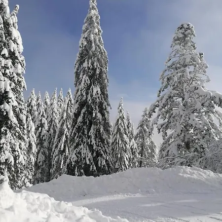 Rogla - Apartma Rozle Daire