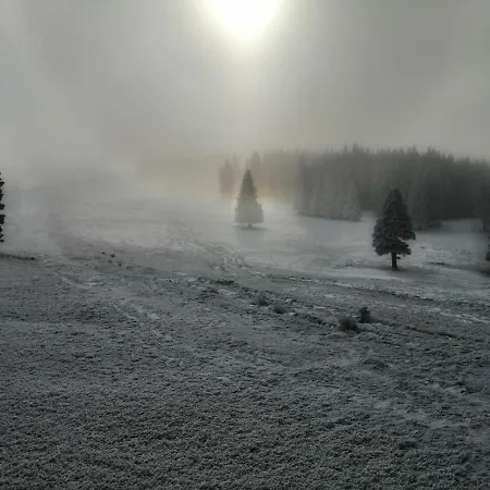 Apartamento Rogla - Apartma Rozle