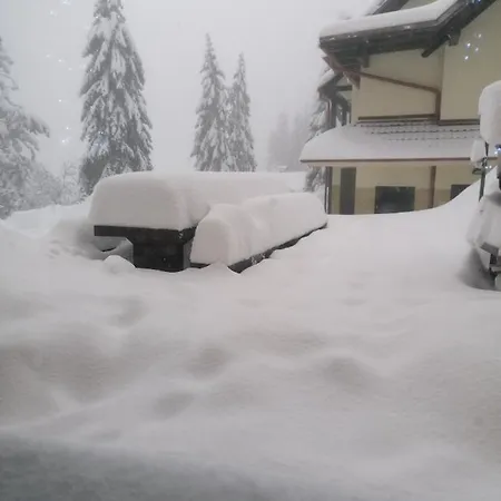 Rogla - Apartma Rozle Apartamento *