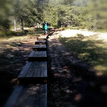 Rogla - Apartma Rozle * Vitanje