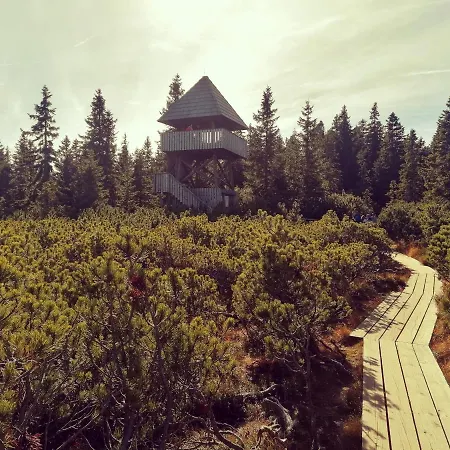 Rogla - Apartma Rozle Daire Vitanje