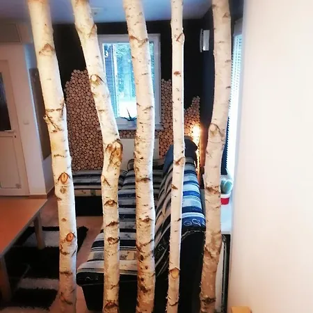 Rogla - Apartma Rozle