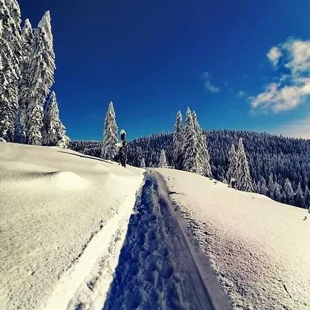 Rogla - Apartma Rozle Daire Vitanje