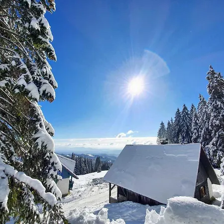 Rogla - Apartma Rozle Daire *