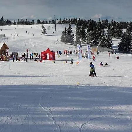 Apartamento Rogla - Apartma Rozle *