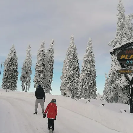 Rogla - Apartma Rozle * Vitanje