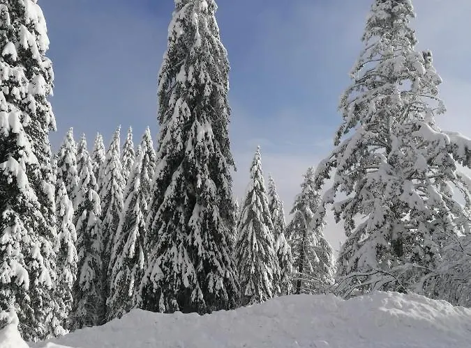 Rogla - Apartma Rozle Daire