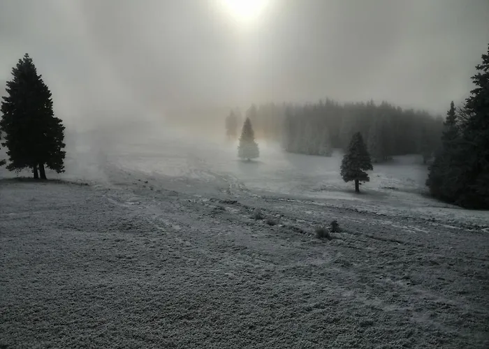 Lägenhet Rogla - Apartma Rozle
