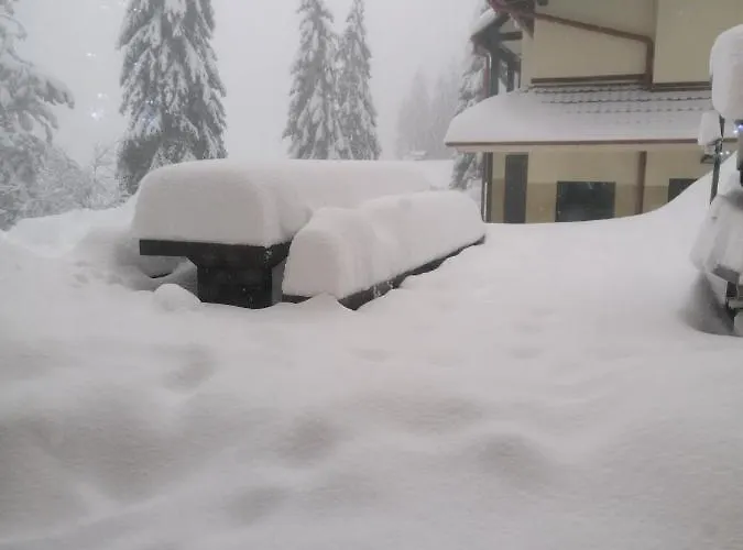 Rogla - Apartma Rozle Daire *