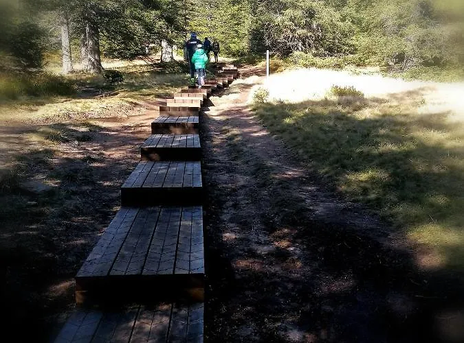 Rogla - Apartma Rozle * Vitanje