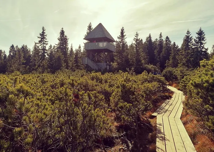 Rogla - Apartma Rozle Daire Vitanje