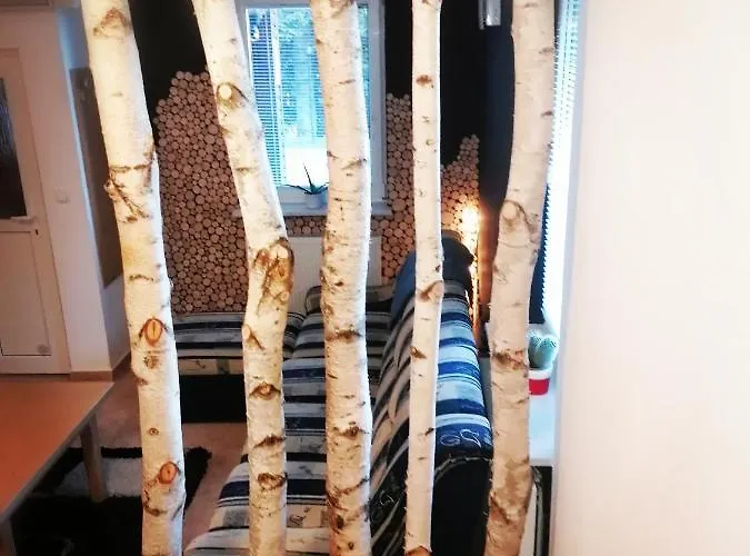 Rogla - Apartma Rozle