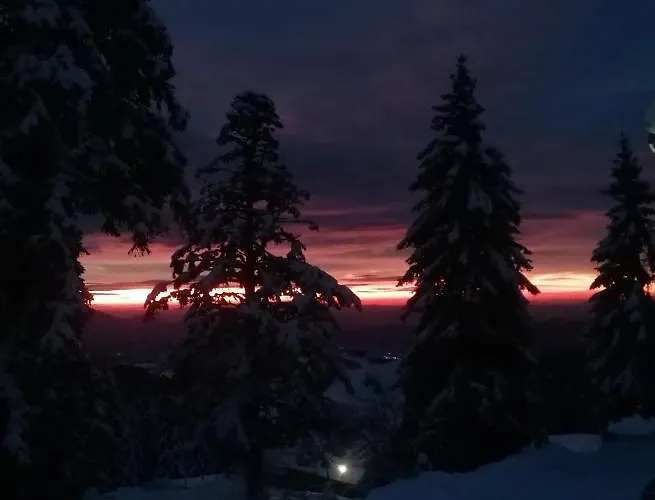 Rogla - Apartma Rozle *