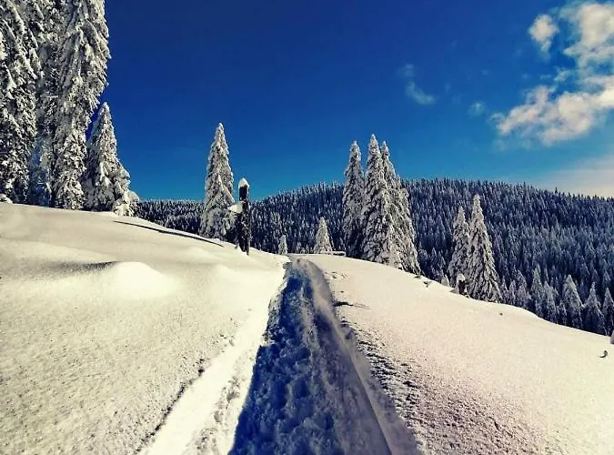 Rogla - Apartma Rozle Appartamento Vitanje