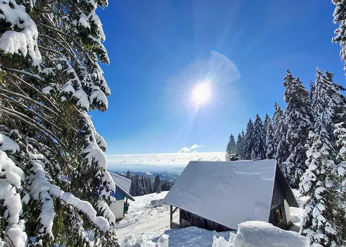 Rogla - Apartma Rozle Lägenhet *