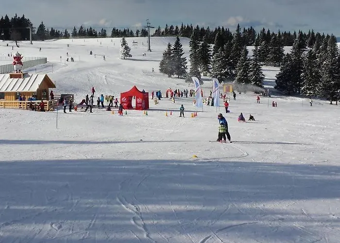 Lägenhet Rogla - Apartma Rozle *