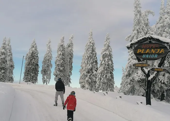 Rogla - Apartma Rozle * Vitanje